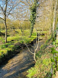 Photos rivières, Loison