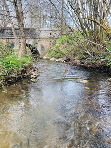 Photos rivières, Thar2