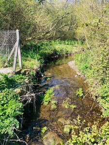 Photos rivières, Saire  2 