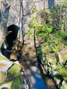 Photos rivières, Gloire