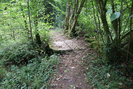 20200813-02 GR7 Ballon d'Alsace - Grancey - Beaune, 1834 Passerelle sur le Patiot