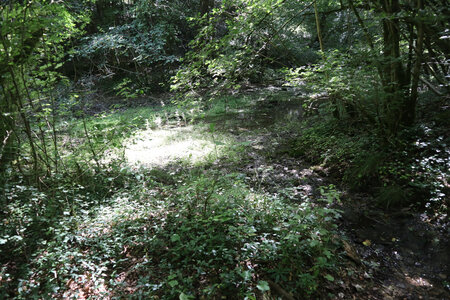 20200813-02 GR7 Ballon d'Alsace - Grancey - Beaune, 1843 : La Mouche près de sa source dans le bois de Montchavelot