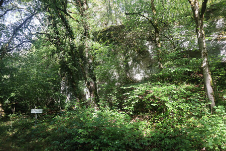 20200813-02 GR7 Ballon d'Alsace - Grancey - Beaune, 1859 La Roche aux Cerfs dans la forêt d'Auberive