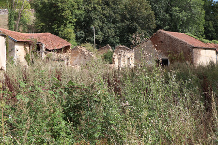 20200813-02 GR7 Ballon d'Alsace - Grancey - Beaune, 1903 Vivey : le parc en friche et les dépendances ruinées du château