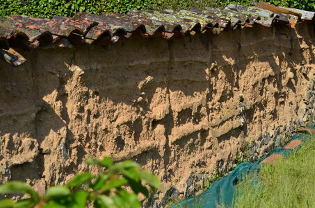 mur jardin, DSC_0028