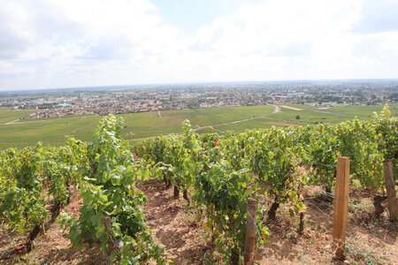 20200813-02 GR7 Ballon d'Alsace - Grancey - Beaune, 2015 Vue depuis les Bressandes