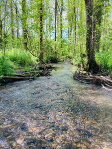 Photos rivières, Doll&eacute;e