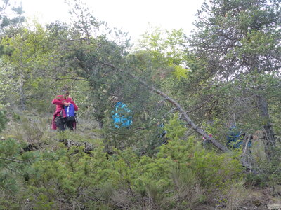 2021 05 18 Piegut, 2021_05_18 Piegut crete de la Colle 102