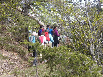2021 05 18 Piegut, 2021_05_18 Piegut crete de la Colle 109