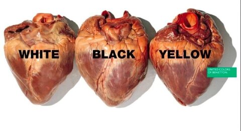 razzismo - alcune campagne, 2_cuori
