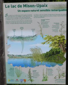 2021 05 25 Tour du lac de Mison, 2021_05_25 Tour lac de Mison 102