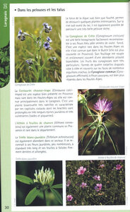 2021 05 25 Tour du lac de Mison, Randonnées botaniques 05_p30