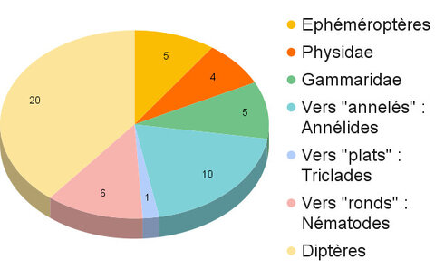 Graphiques, Loison 20-04-21