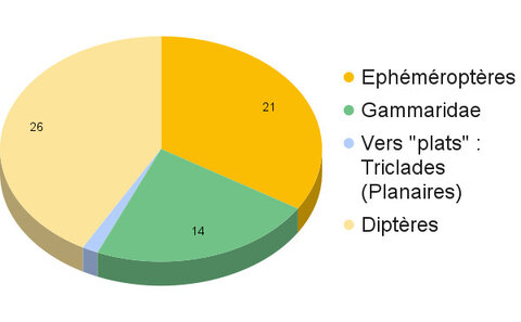 Graphiques, Thar 1 21-04-21