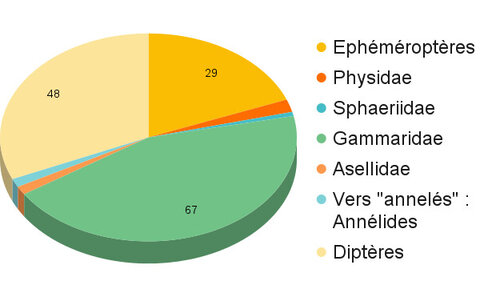 Graphiques, Ay2 30-04-21