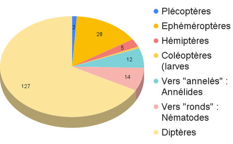 Graphiques, Sienne 23-04-21