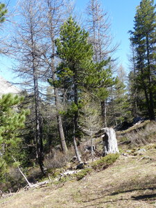 2021 05 27 Chalets de la Taure, 2021_05_27 Boucle chalets de la Taure 108