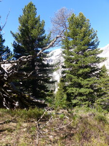 2021 05 27 Chalets de la Taure, 2021_05_27 Boucle chalets de la Taure 110
