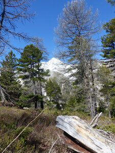 2021 05 27 Chalets de la Taure, 2021_05_27 Boucle chalets de la Taure 112