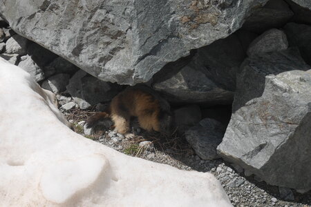 2021-06-01-goulotte-court-metrage-arete-des-cineastes, alpes-aventure-goulotte-glacier-blanc-court-metrage-05