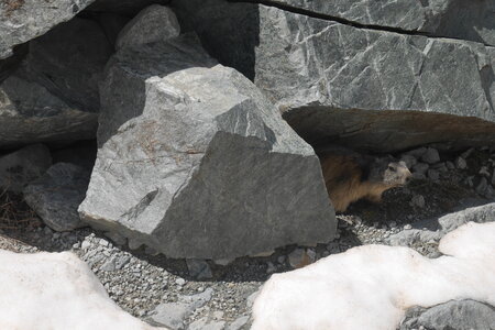2021-06-01-goulotte-court-metrage-arete-des-cineastes, alpes-aventure-goulotte-glacier-blanc-court-metrage-07