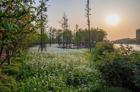 Archi paysage, 2020-Qingpu-Nanjing-Park-DLC-14