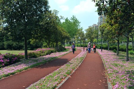 Archi paysage, 2020-Qingpu-Nanjing-Park-DLC-25