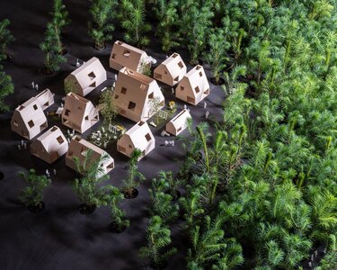 Archi paysage, effekt-ego-to-eco-venice-architecture-biennale-1600-trees-installation_dezeen_2364_col_5-2048x1638