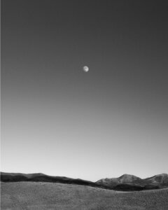 Archi paysage, Lindsay Godin