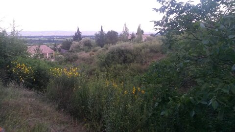 CABARDES Minervois, 20210607_210732