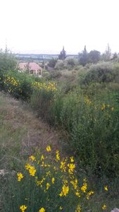 CABARDES Minervois, 20210607_210739