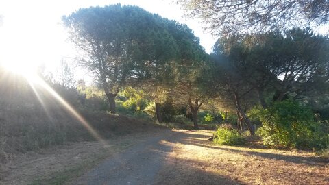 CABARDES Minervois, 20210608_072028