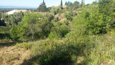 CABARDES Minervois, 20210608_091457