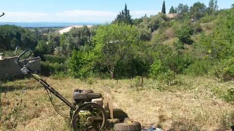 CABARDES Minervois, 20210608_114212