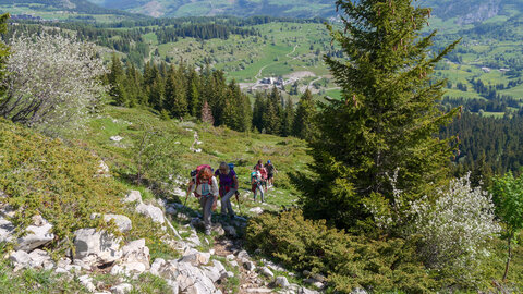 Crête de l'ane, P1033969
