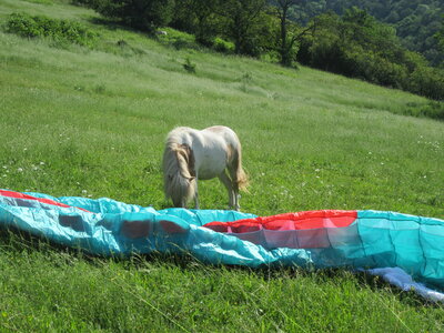 Samedi 12 juin, IMG_9349