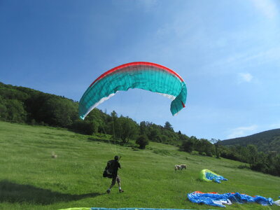 Samedi 12 juin, IMG_9347