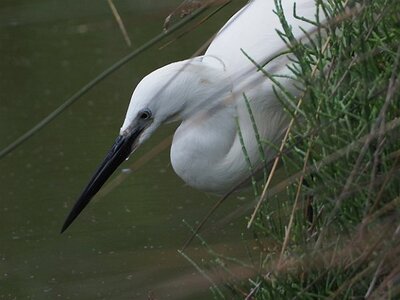 STAGE CAMARGUE AVEC GERARD ROSSIGNOL 06 2021, 0027