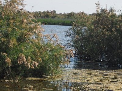 STAGE CAMARGUE AVEC GERARD ROSSIGNOL 06 2021, 0029