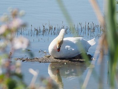 STAGE CAMARGUE AVEC GERARD ROSSIGNOL 06 2021, 0033
