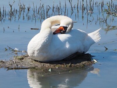 STAGE CAMARGUE AVEC GERARD ROSSIGNOL 06 2021, 0035
