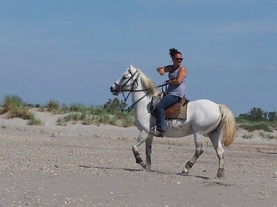 STAGE CAMARGUE AVEC GERARD ROSSIGNOL 06 2021, 0063