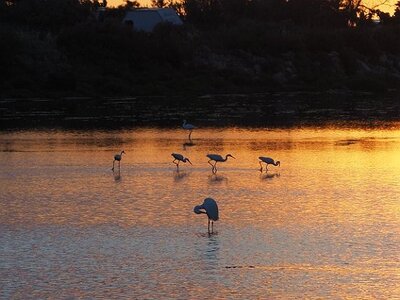 STAGE CAMARGUE AVEC GERARD ROSSIGNOL 06 2021, 0066