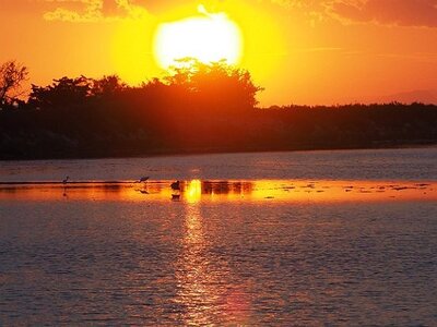 STAGE CAMARGUE AVEC GERARD ROSSIGNOL 06 2021, 0067