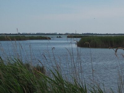 STAGE CAMARGUE AVEC GERARD ROSSIGNOL 06 2021, 0107