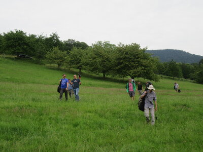 Breitenbach 27 juin, IMG_9716
