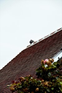 Maison des Artistes - 26062021, IMG_3456
