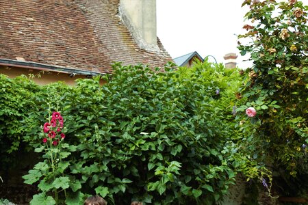 Maison des Artistes - 26062021, IMG_3523
