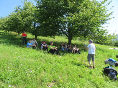 Autour de l'école (Breitenbach 3 juillet 2021), IMG_9795