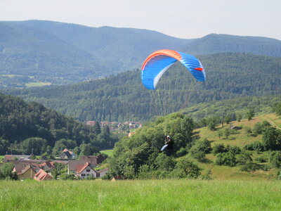 Autour de l'école (Breitenbach 3 juillet 2021), IMG_9775